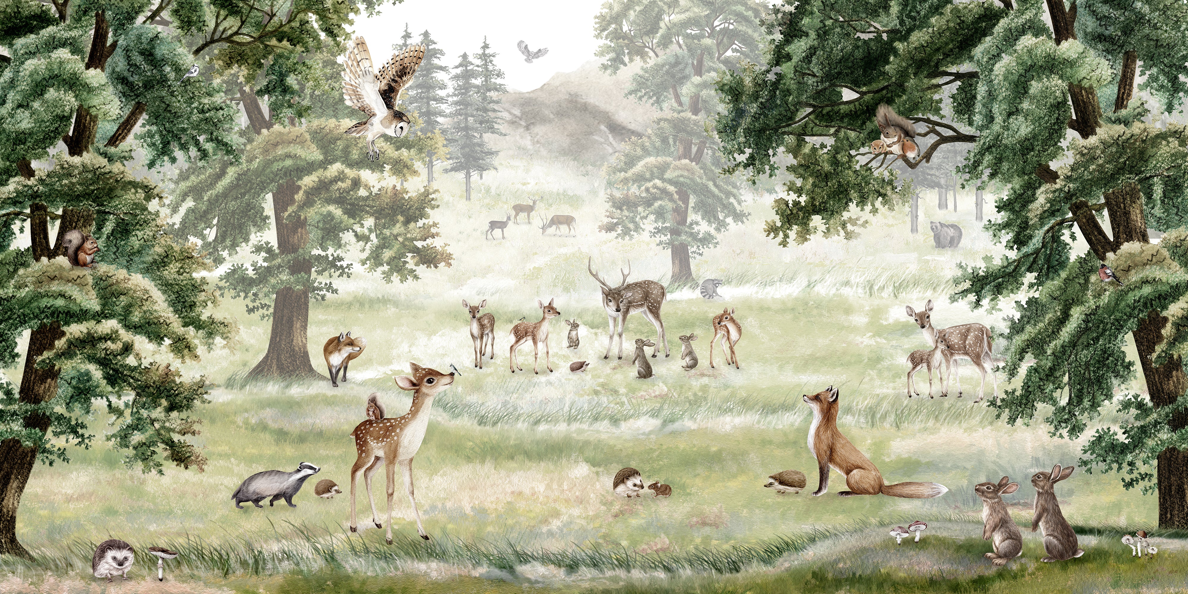 Forest Fun - Children's Forest Illustration of Woodland Animals Wallpaper Mural - Image 5