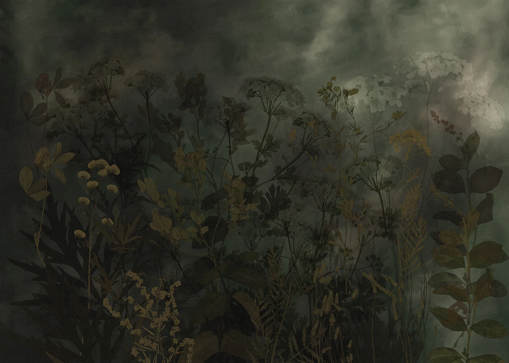 Feronia - Dark Moody Wildflower Wallpaper Mural - Image 4