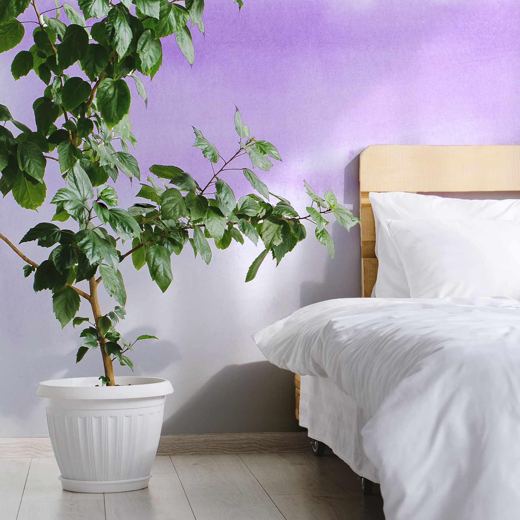 Homates - Purple Brush Ombré Wallpaper Mural - Image 2