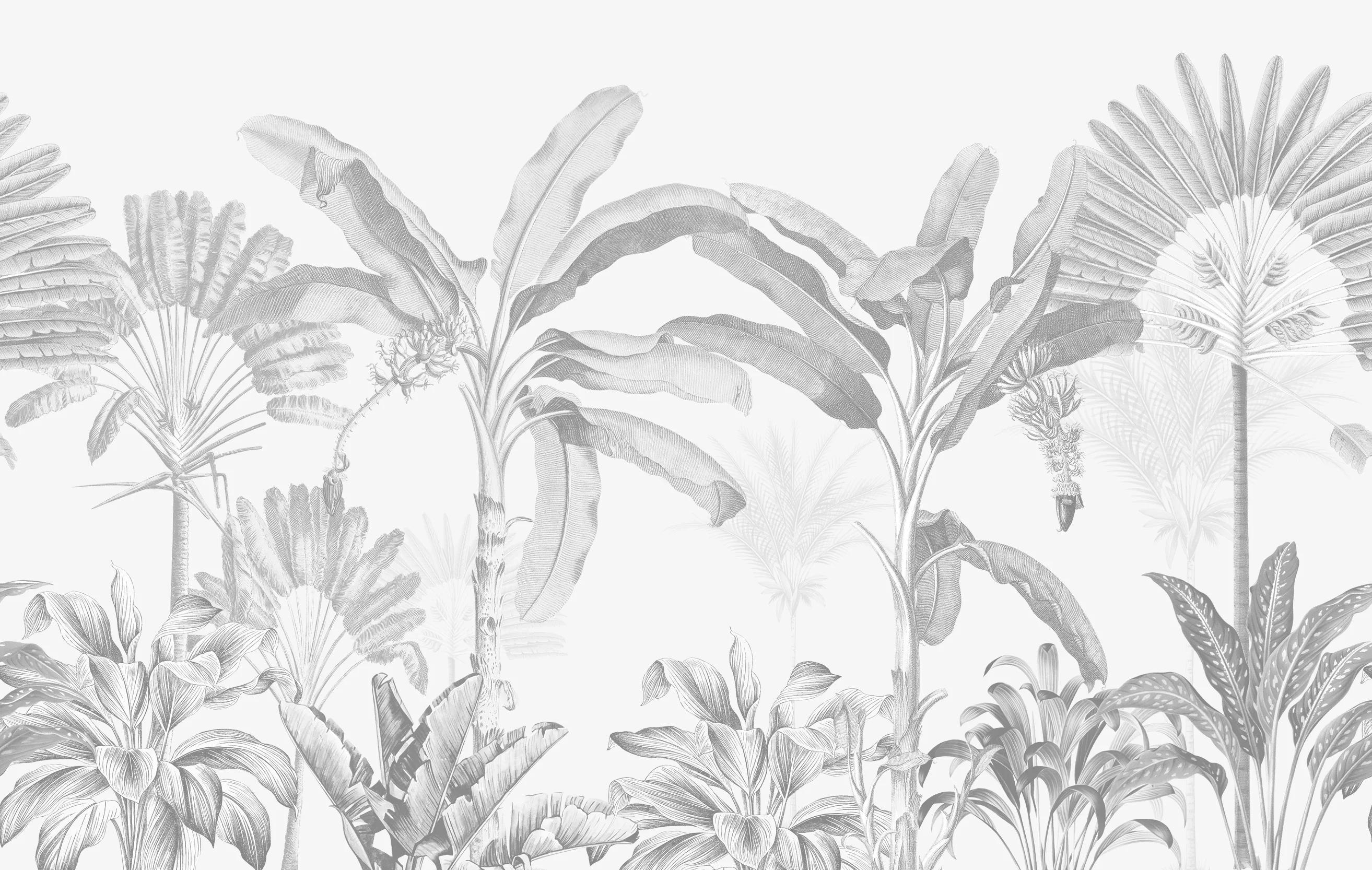 Dominica Mono - Vintage Grey Jungle Wallpaper Mural - Image 4